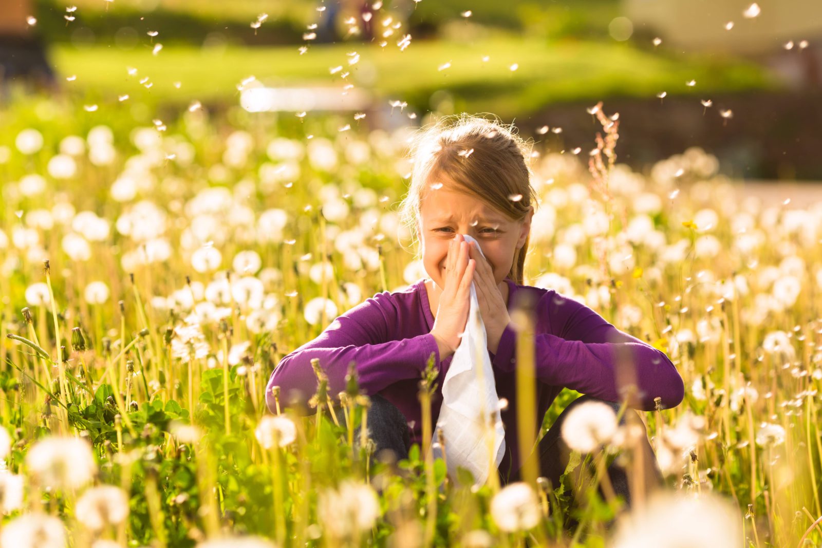 allergie e pollini: qual è il legame?