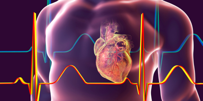 come capire se si hanno problemi cardiaci